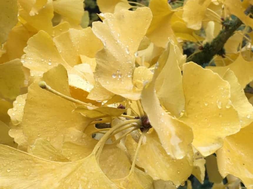 Alex – Blog – annuaire des artistes – VivaLaFiesta Alex - Blog - annuaire des artistes - VivaLaFiesta